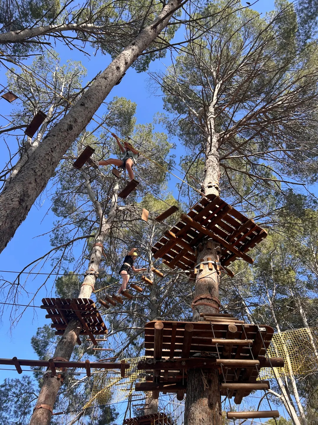 Circuitos de aventura tirolina y escalada para grupos en Valencia